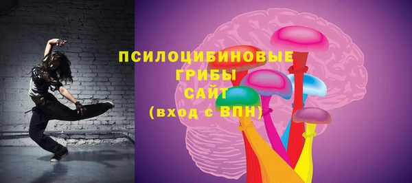 метадон Алексин