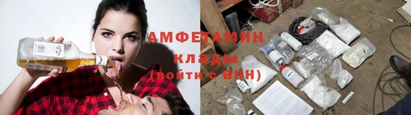 метадон Алексин
