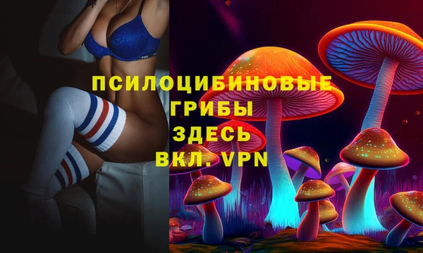 круглые Алзамай