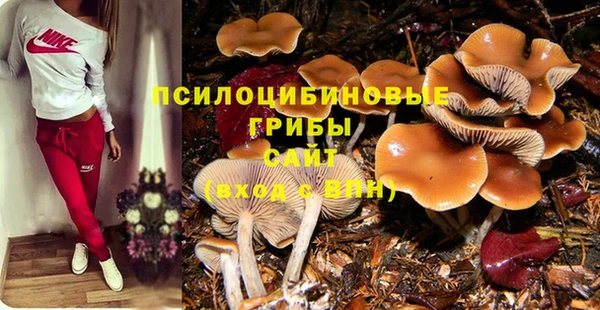 круглые Алзамай