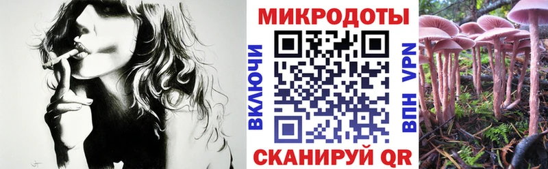 дарнет шоп  Салават  Галлюциногенные грибы ЛСД 